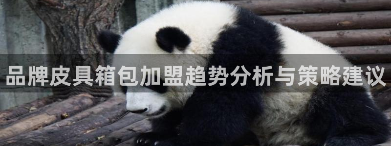 必一体育运动下载