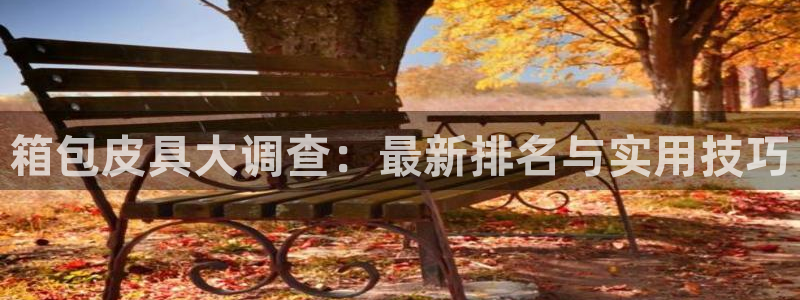 必一体育怎么下载