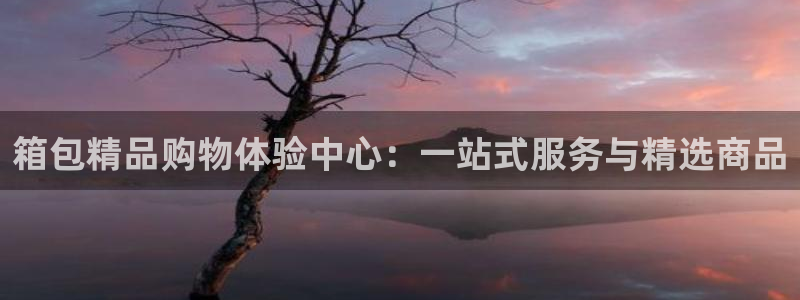 必一体育网页版登录