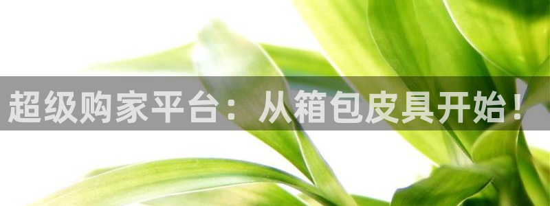 必一体育APP下载安装