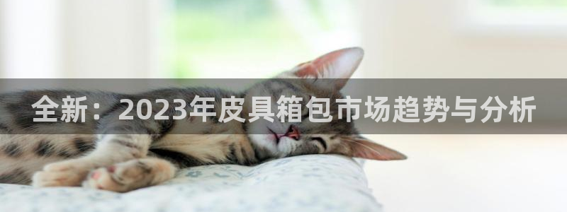 必一体育官方网站入口