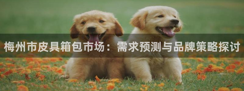 必一体育下载意思
