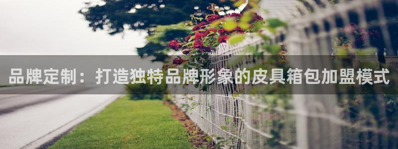 必一体育下载登入