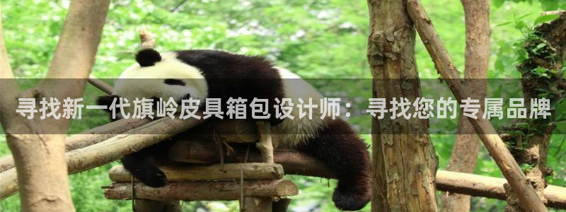 必一体育sport装机吧