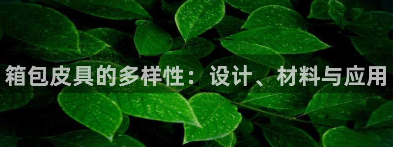 必一体育下载登入
