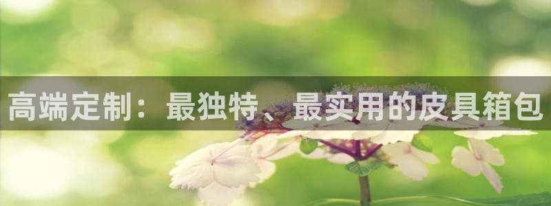 必一体育sport网页版