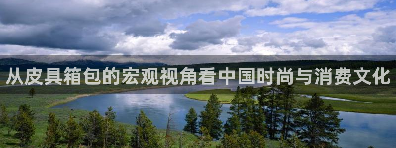必一运动体育官网