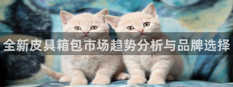 必一运动官网登录入口