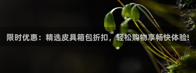 必一体育app官方
