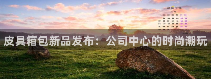 必一体育app官方下载入口