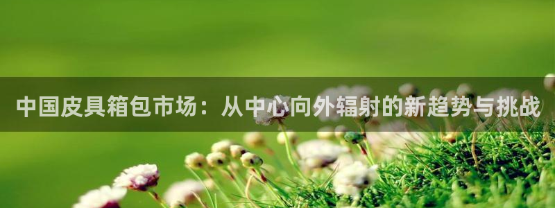 必一运动体育官网下载