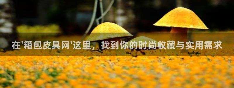 必一体育app官方下载入口