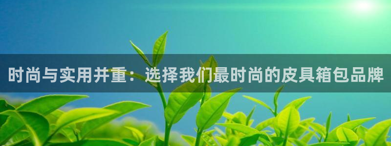 必一体育运动下载