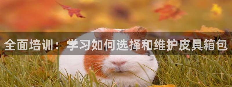 必一体育官方下载