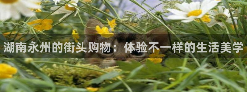 必一运动sport网页版