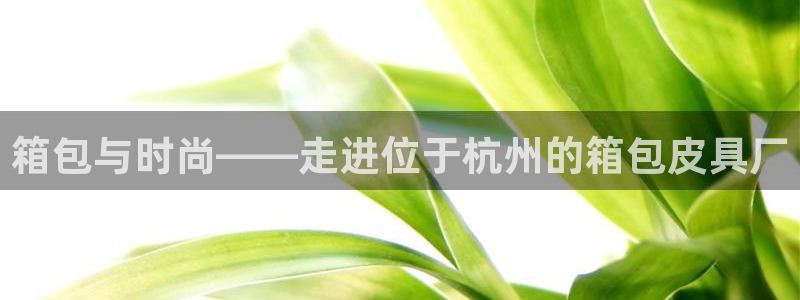 必一体育下载入口