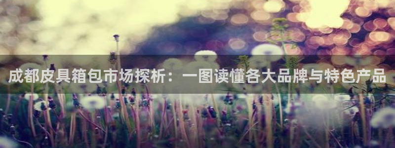 必一体育游戏特色