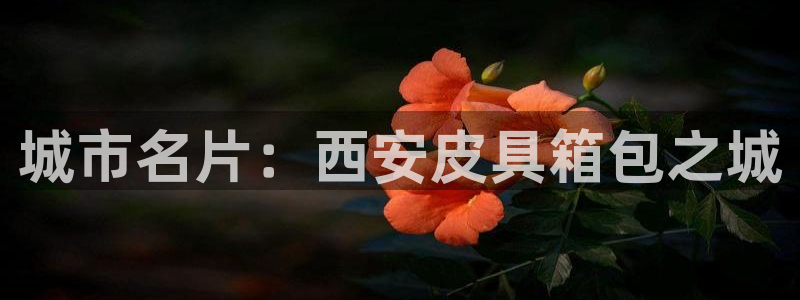 必一体育app下载最新版本