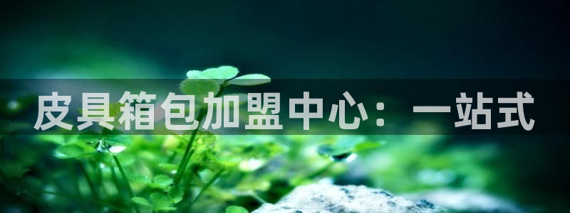 必一体育运动官网