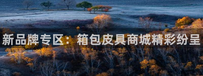 必一体育app官方