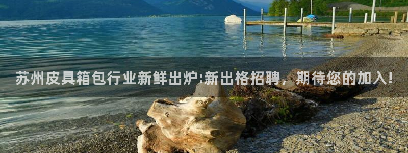 必一运动B-Sport官方网站入口