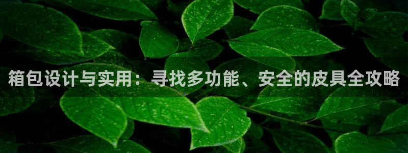 必一体育下载入口