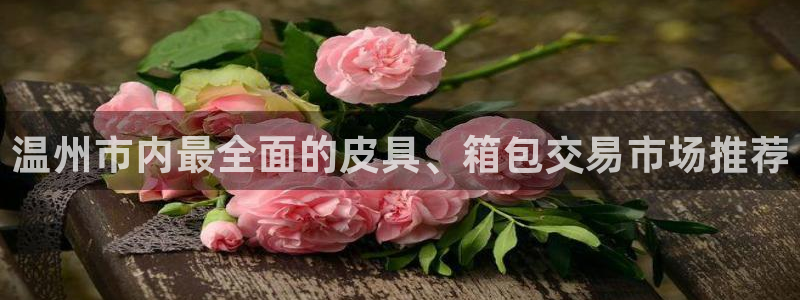 必一体育APP