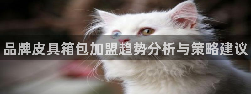 必一体育登录入口APP