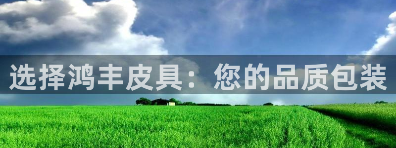 必一体育最新官网入口首页