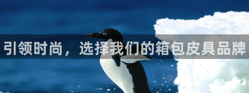 Bsport体育app必一
