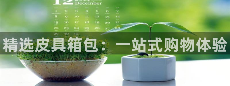 必一体育app官方下载