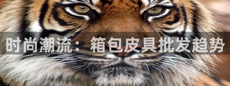 必一运动体育官网下载
