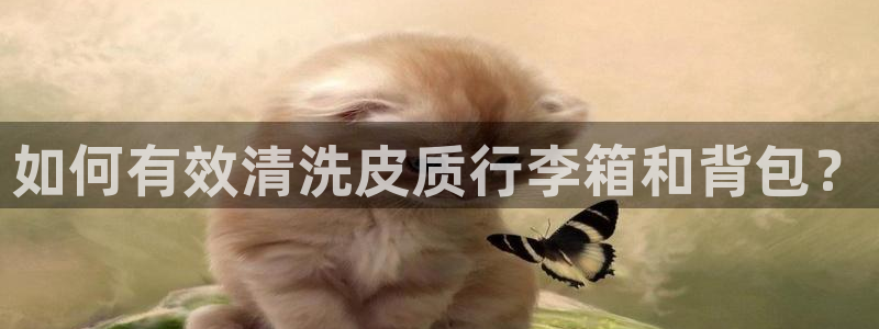 必一体育秀给网