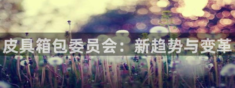 必一体育官方下载入口