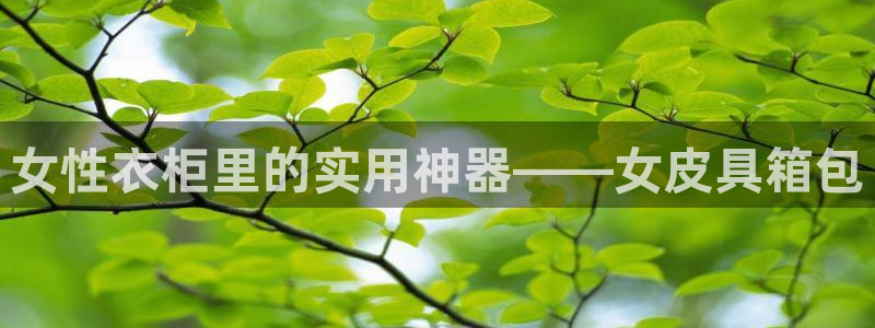 必一体育怎么下载