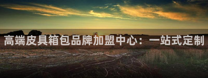 必一体育登录入口