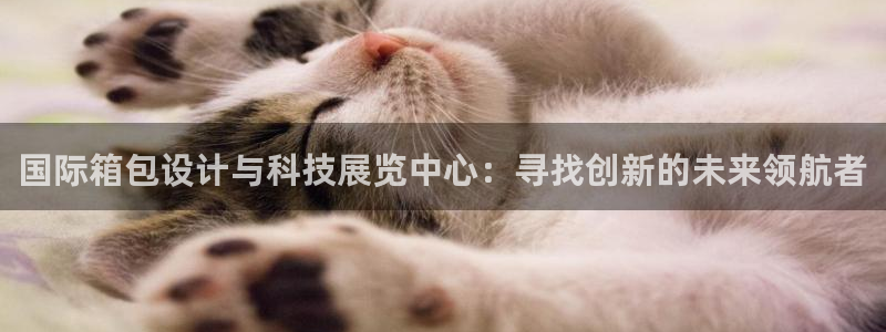 必一体育sportB体育