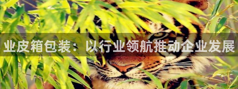 必一体育合法吗