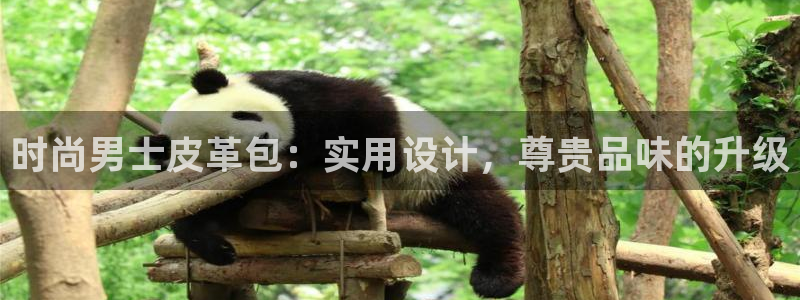 必一体育下载app下载