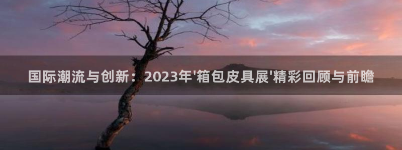 必一体育最新官网入口首页