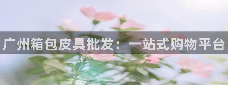 必一体育sport官网