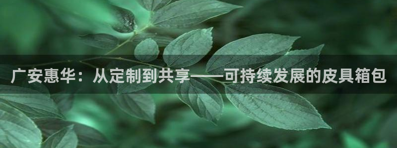 必一体育APP下载安装