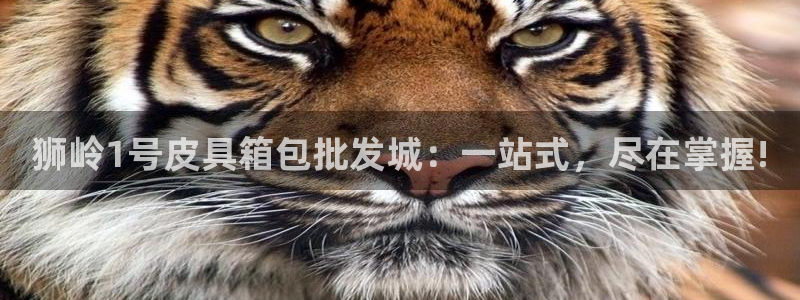 必一体育登录APP下载