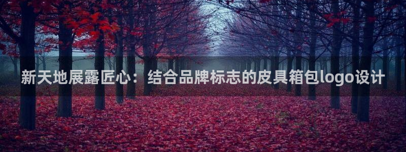 必一体育下载意思