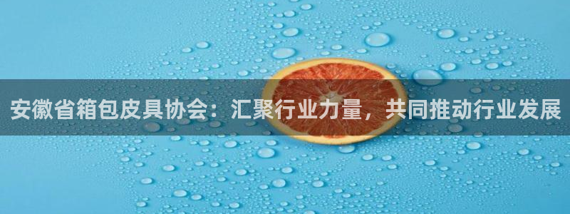 必一体育在哪下