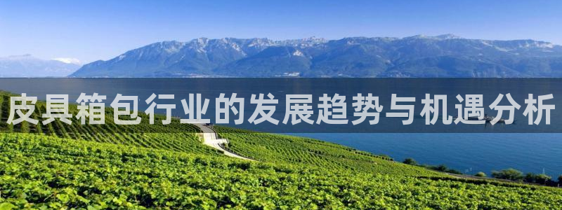 必一体育运动平台官网