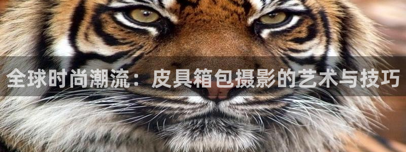 必一体育app平台下载