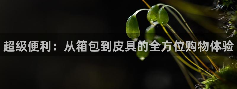 必一体育最新官网入口首页