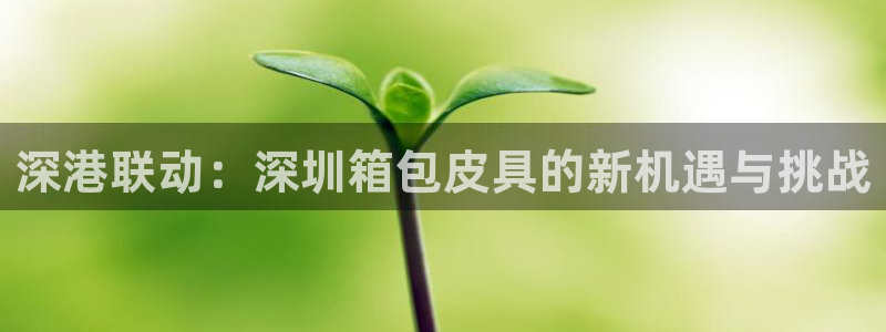 必一体育平台