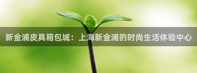 必一体育官网入口